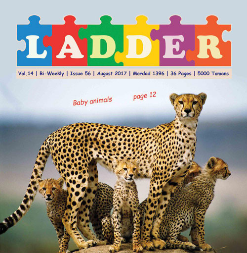 LADDER - Volume:14 Issue: 56, 2017