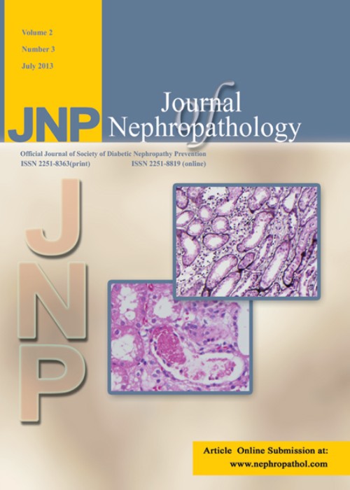 nephropathology - Volume:13 Issue: 1, Jan 2024