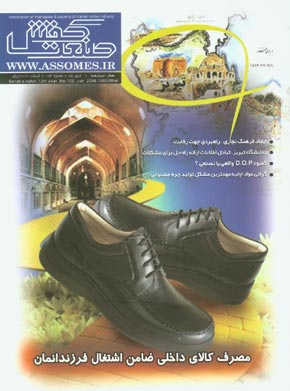صنعت کفش - پیاپی 103 (تیر 1385)
