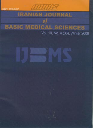 Basic Medical Sciences - Volume:10 Issue: 4, Winter 2008