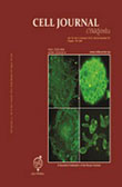 Cell Journal - Volume:14 Issue: 3, Autumn 2012