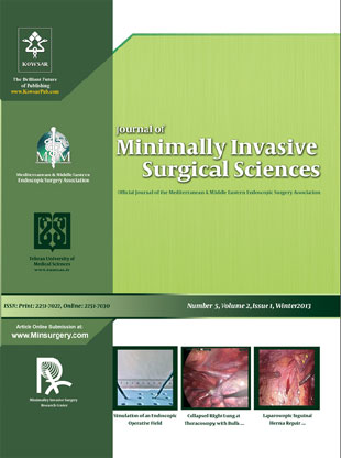 Annals of Bariatric Surgery - Volume:2 Issue: 1, Winter 2013