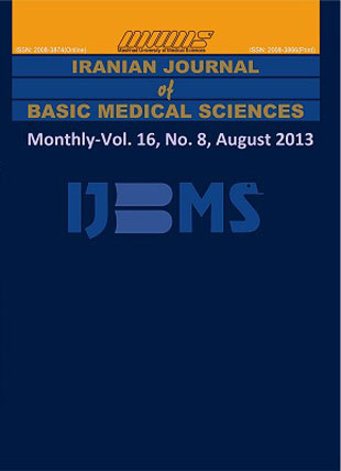 Basic Medical Sciences - Volume:16 Issue: 8, Aug 2013