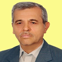 دکتر شمس الدین میردامادی