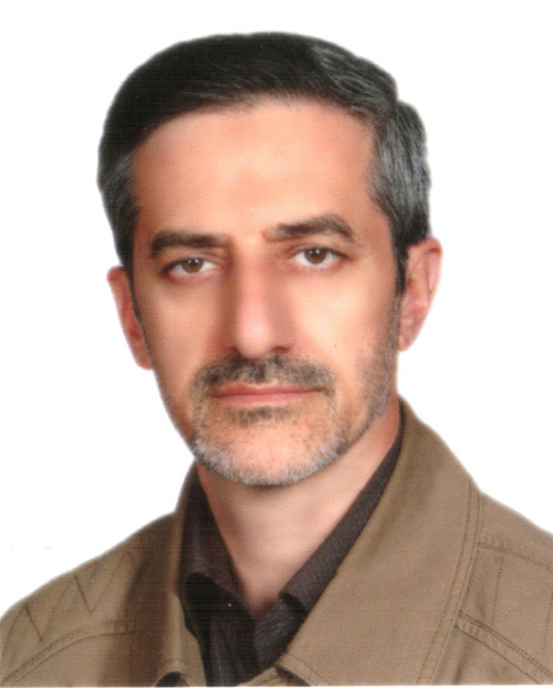 دکتر حسن ذوالفقارزاده