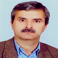 دکتر محمدتقی ایمان پور