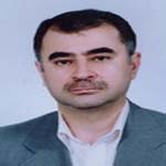 دکتر محمدرضا مهرگان
