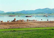 [تصوير: 12-1.jpg]