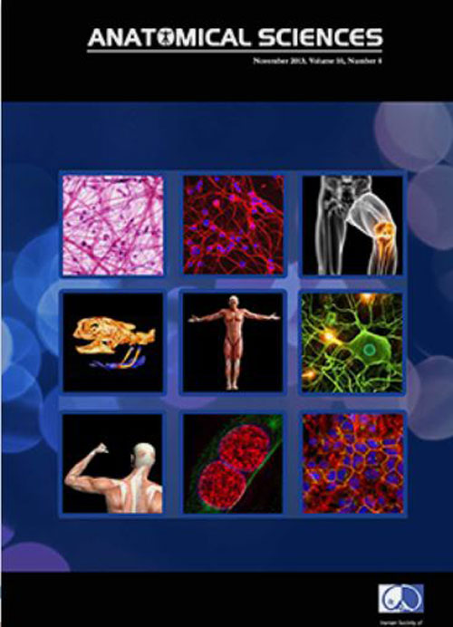 Anatomical Sciences Journal - Volume:14 Issue: 4, Autumn 2017