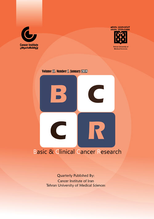 Basic and Clinical Cancer Research - Volume:11 Issue: 3, Summer 2019