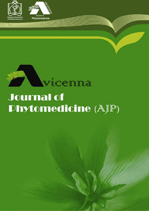 Avicenna Journal of Phytomedicine - Volume:11 Issue: 3, May-Jun 2021