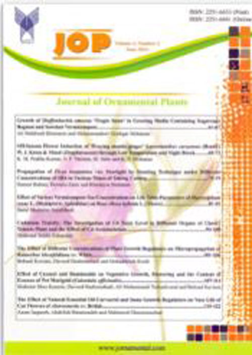 Ornamental Plants - Volume:11 Issue: 2, Spring 2021