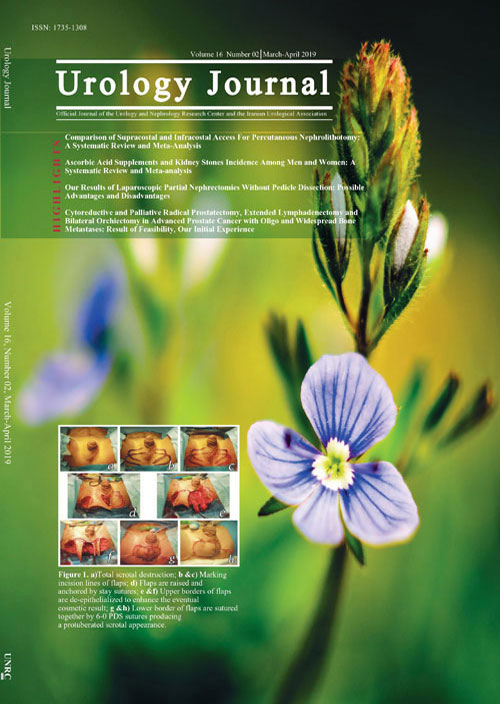 Urology Journal - Volume:18 Issue: 5, Sep-Oct 2021