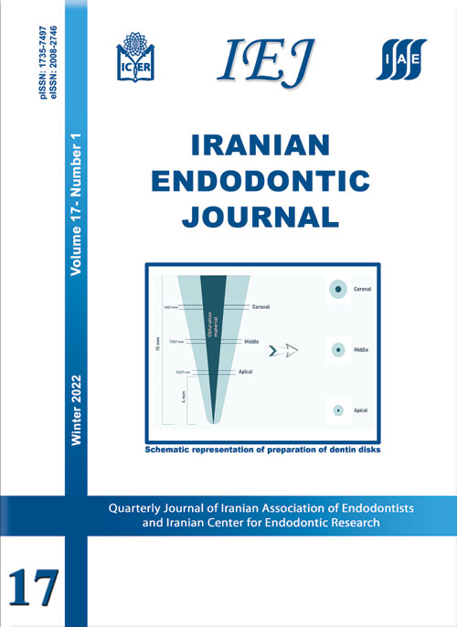 Iranian Endodontic Journal - Volume:17 Issue: 1, Winter 2022