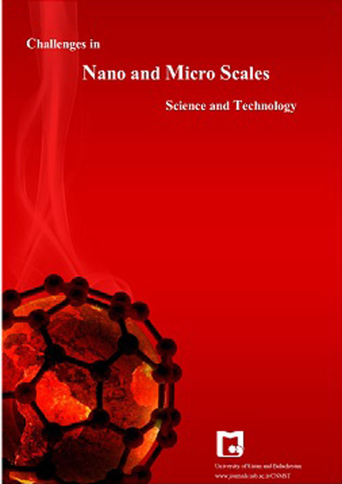Transport Phenomena in Nano and Micro Scales - Volume:9 Issue: 1, Winter-Spring 2021