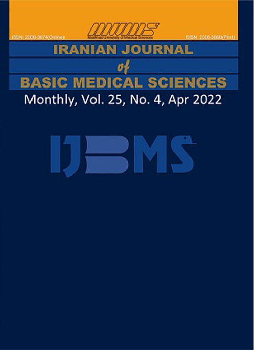 Basic Medical Sciences - Volume:25 Issue: 4, Apr 2022