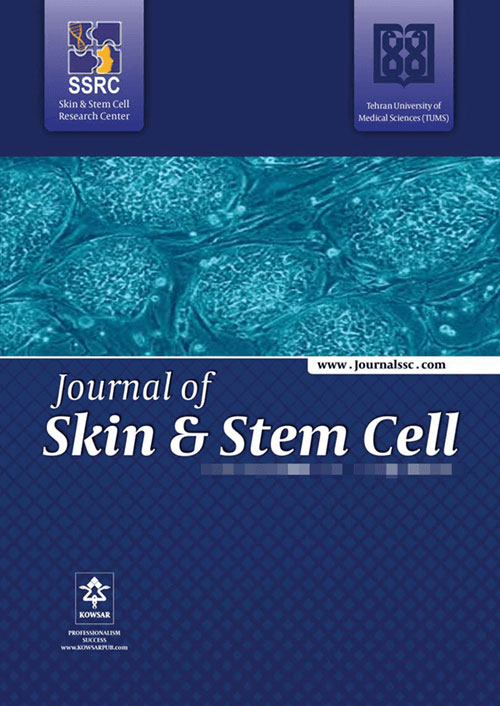 Skin and Stem Cell - Volume:9 Issue: 2, Jun 2022