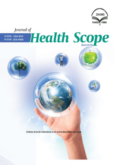 Health Scope - Volume:11 Issue: 4, Nov 2022