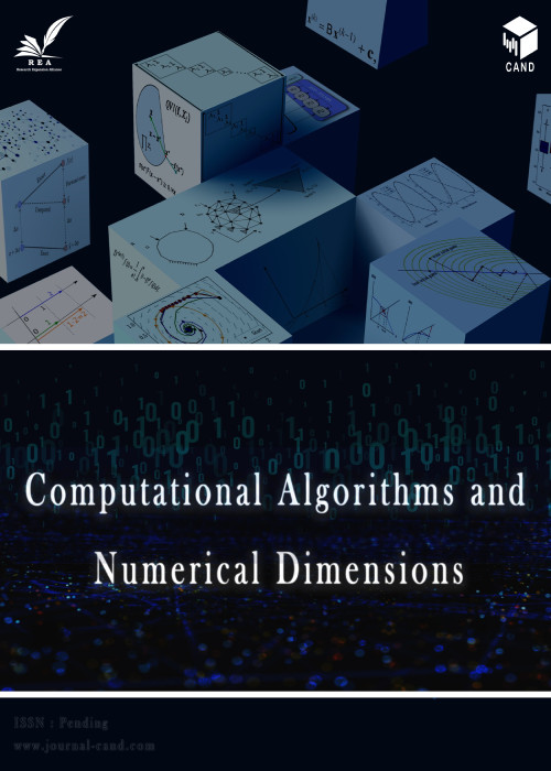 Computational Algorithms and Numerical Dimensions