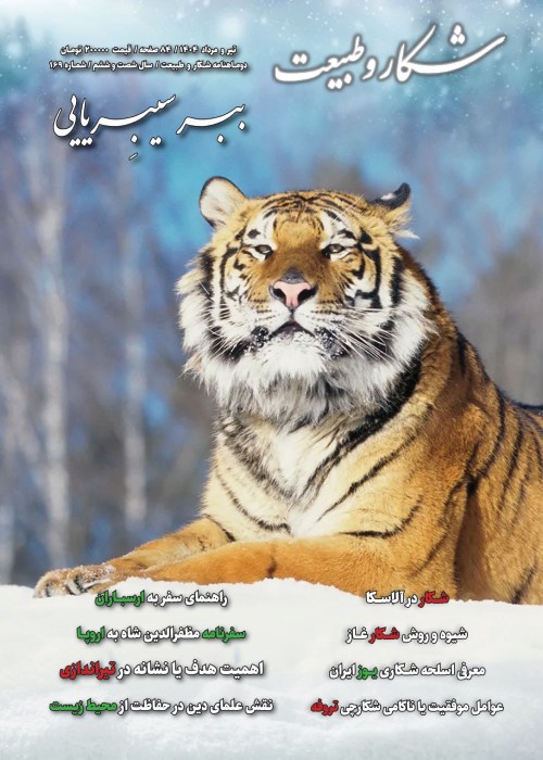 شکار و طبیعت