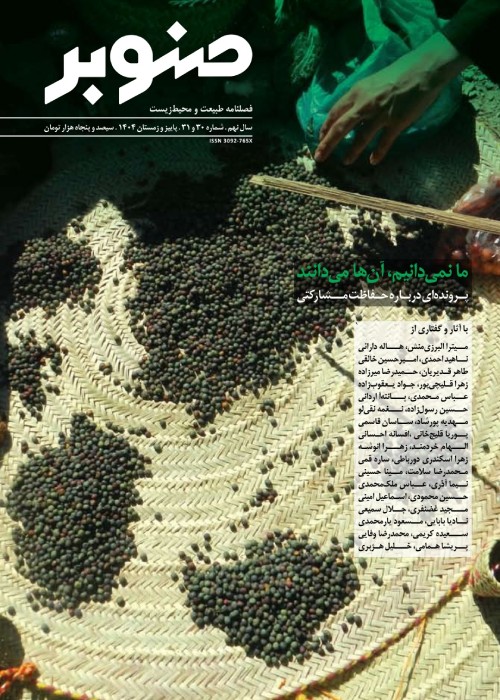 صنوبر
