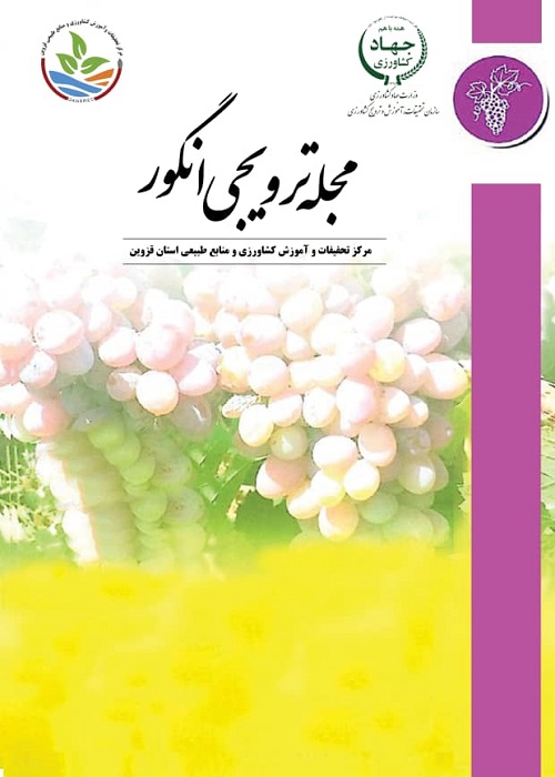 انگور
