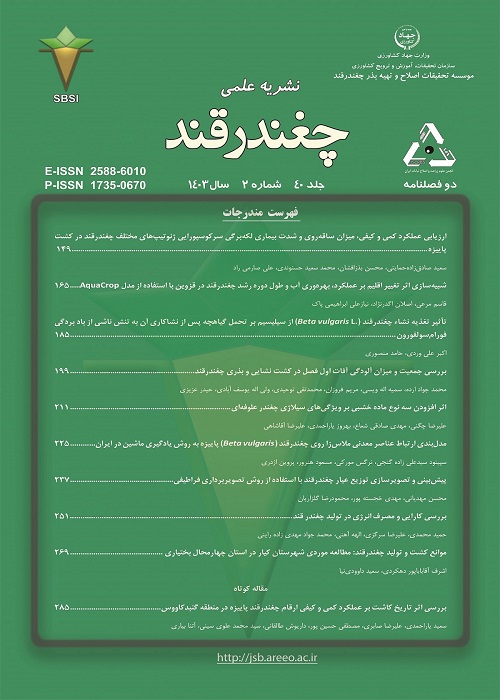 چغندر قند