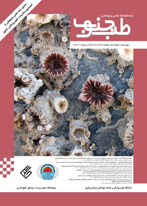 طب جنوب