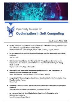 Optimization in Soft Computing