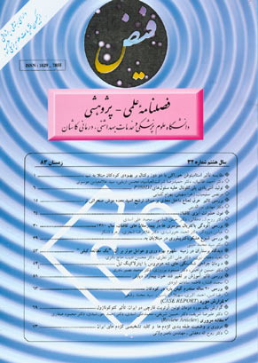 فیض - سال هشتم شماره 4 (پیاپی 32، زمستان 1383)