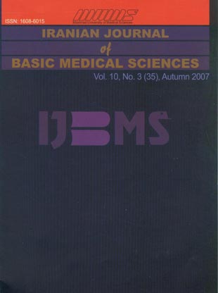 Basic Medical Sciences - Volume:10 Issue: 3, Autumn 2007