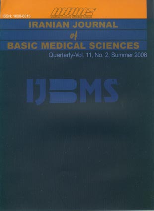 Basic Medical Sciences - Volume:11 Issue: 2, Summer 2008
