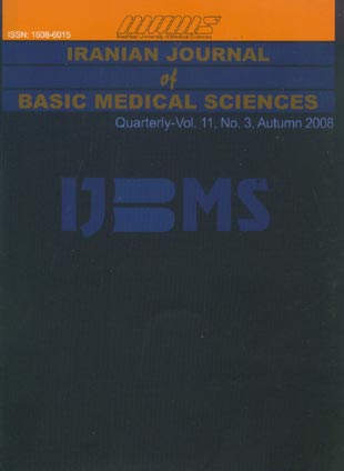 Basic Medical Sciences - Volume:11 Issue: 3, Autumn 2007