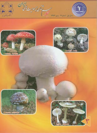 Toxicology - Volume:1 Issue: 3, Autumn 2007