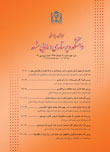 دانشکده پرستاری و مامایی مشهد - پیاپی 21 (تابستان 1388)