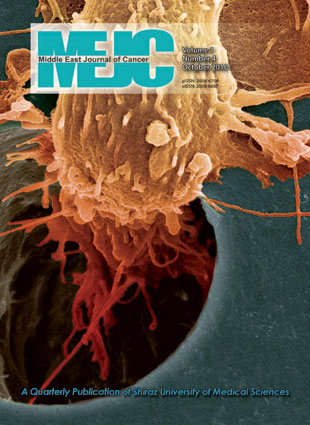 Middle East Journal of Cancer - Volume:1 Issue: 4, Oct 2010