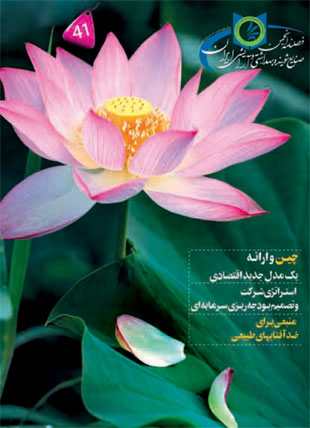 انجمن صنایع شوینده بهداشتی و آرایشی ایران - پیاپی 41 (تابستان 1391)