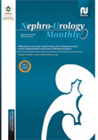 Nephro-Urology Monthly - Volume:4 Issue: 4, Oct 2012