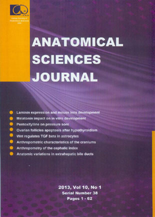 Anatomical Sciences Journal - Volume:10 Issue: 1, Winter 2013