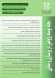 Research Development in Nursing and Midwifery - Volume:10 Issue: 3, 2013
