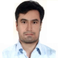 دکتر عبدالله محمدیان هفشجانی