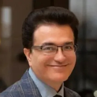 رضا ولی