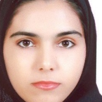 پریسا شیخ الاسلامی