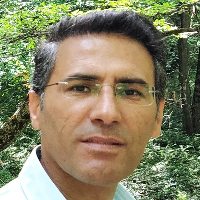 دکتر سید حسین طباطبایی