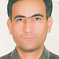 محمود شهیدی