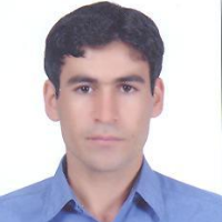 حسینیان بیلندی، سید حسن