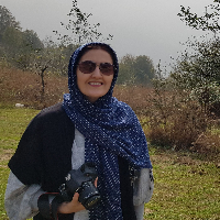 حمیده محمودزاده