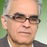 دکتر علی اصغر ملک افضلی