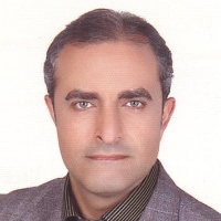 صفوی، سید رضا