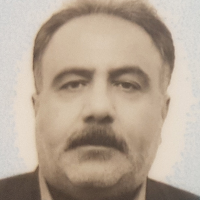 Mohammadsalehi، Reza